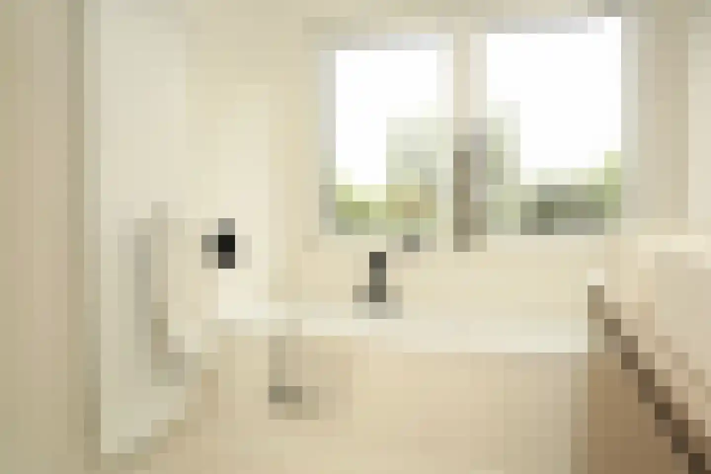 Oostburgsestraat 8 Zuidzande thumbnail 28