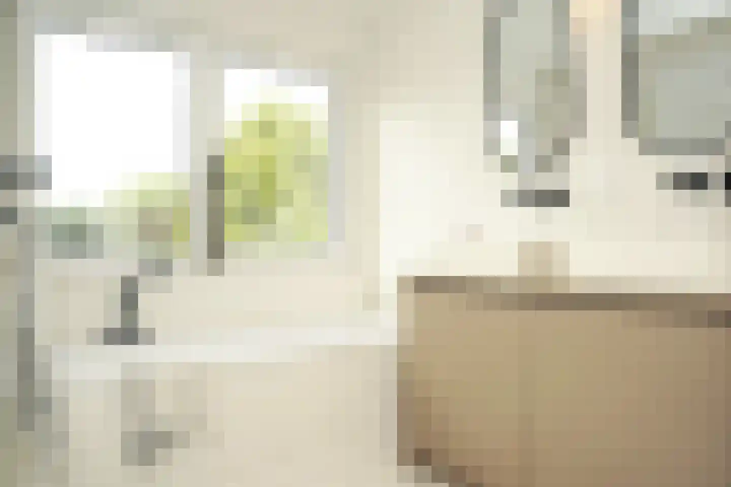 Oostburgsestraat 8 Zuidzande thumbnail 29