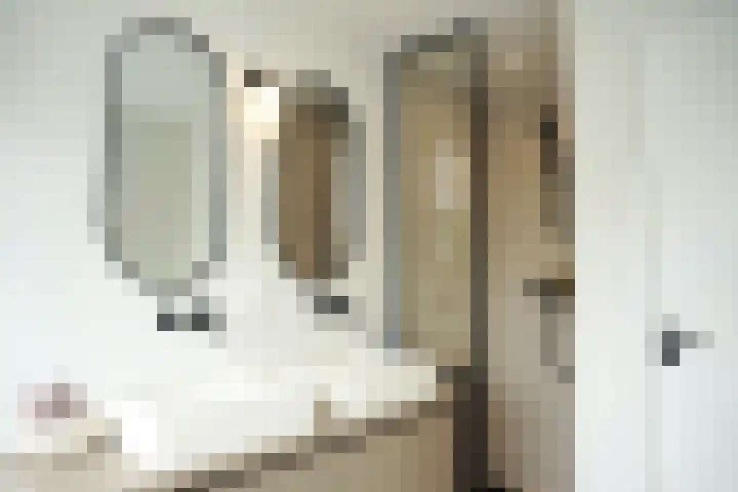 Oostburgsestraat 8 Zuidzande thumbnail 30