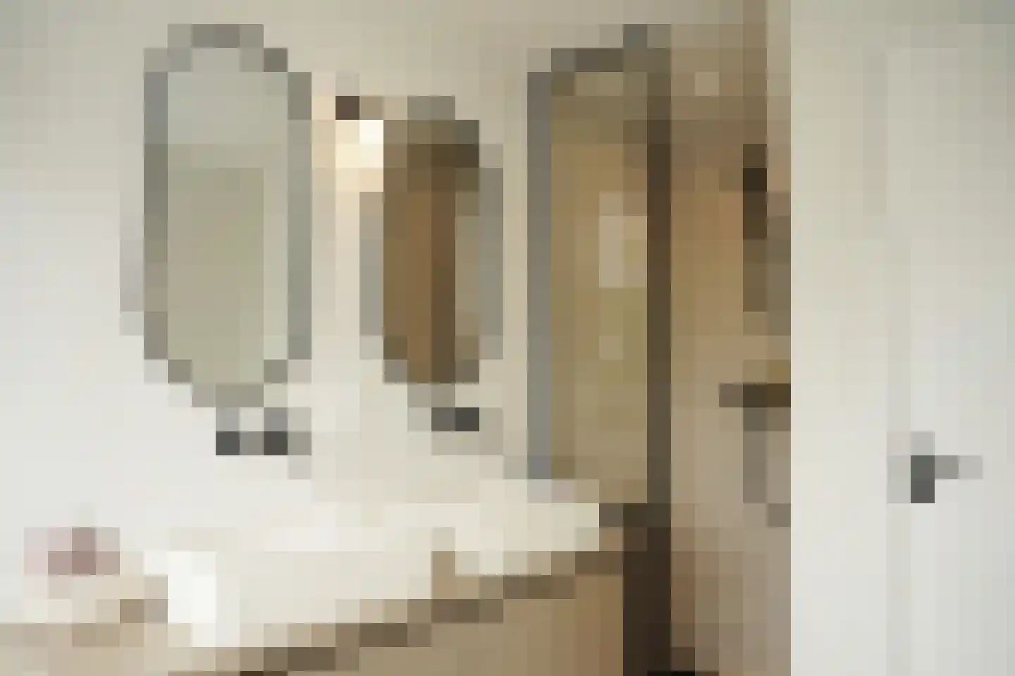 Oostburgsestraat 8 Zuidzande thumbnail 30