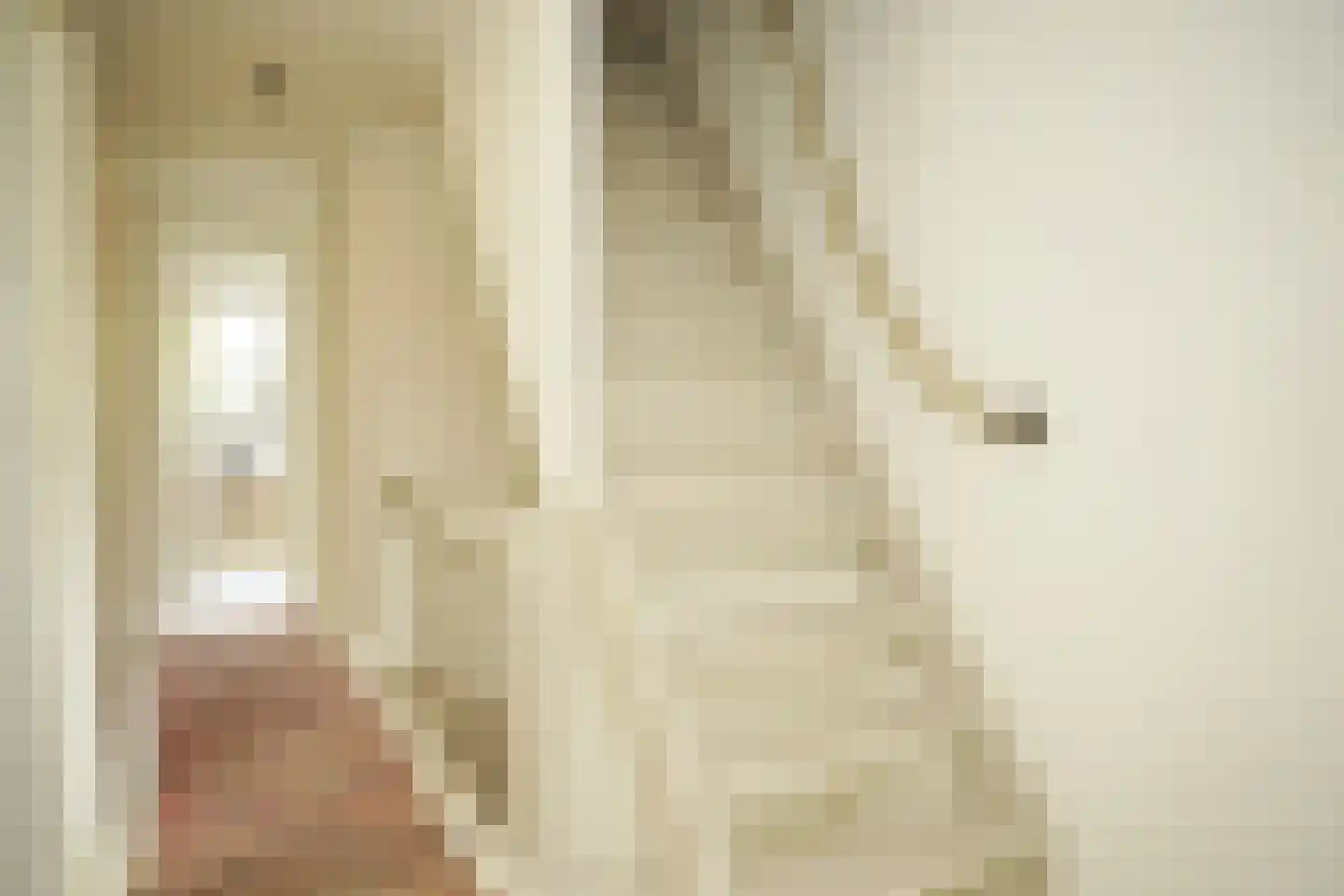 Oostburgsestraat 8 Zuidzande thumbnail 32