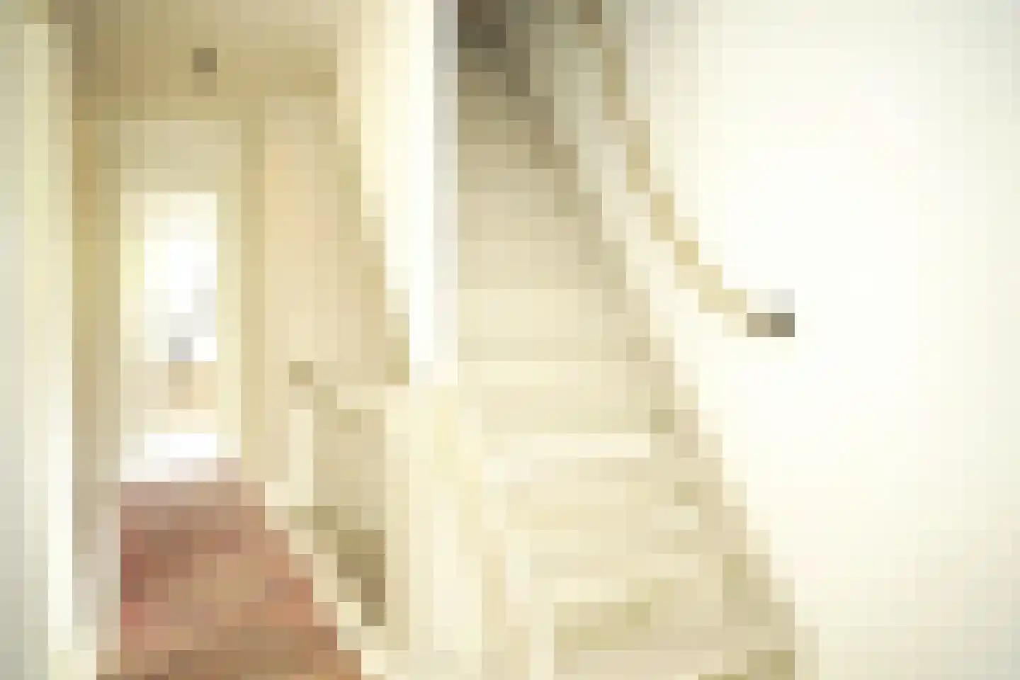 Oostburgsestraat 8 Zuidzande thumbnail 32