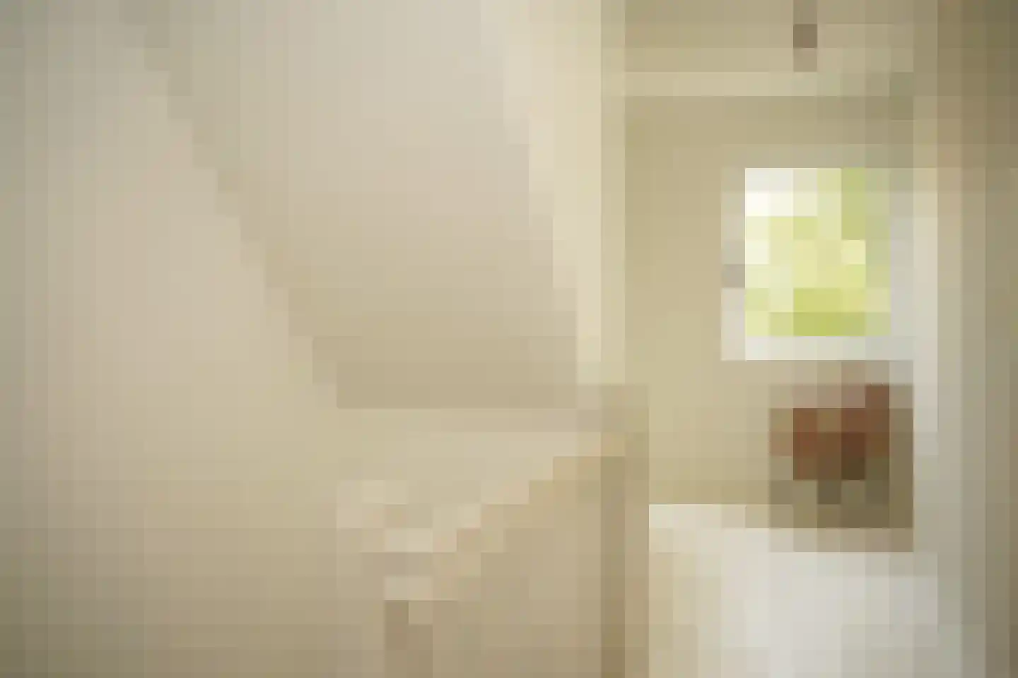 Oostburgsestraat 8 Zuidzande thumbnail 33