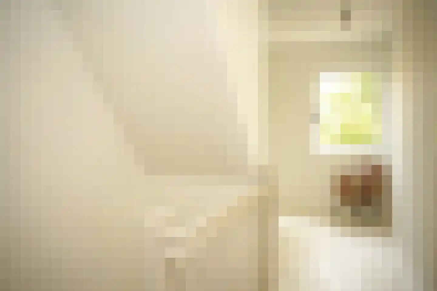 Oostburgsestraat 8 Zuidzande thumbnail 33