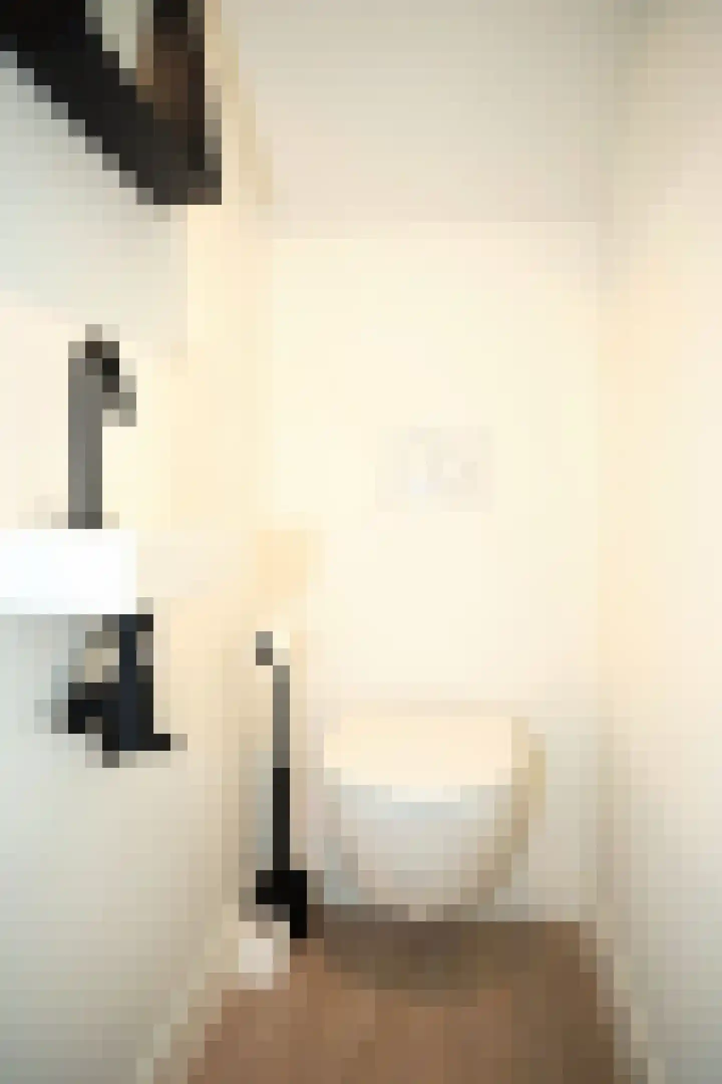 Oostburgsestraat 8 Zuidzande thumbnail 36