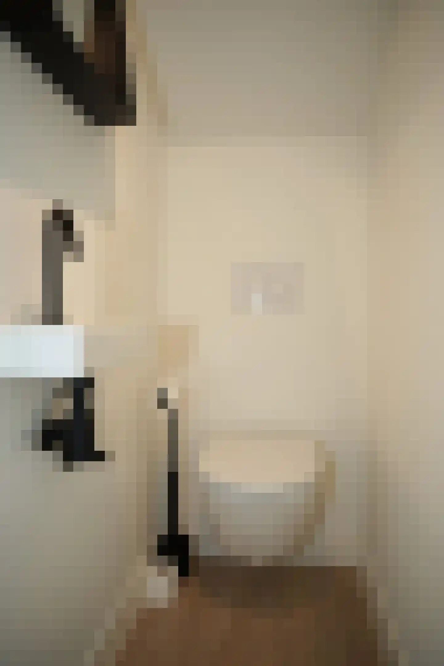 Oostburgsestraat 8 Zuidzande thumbnail 36
