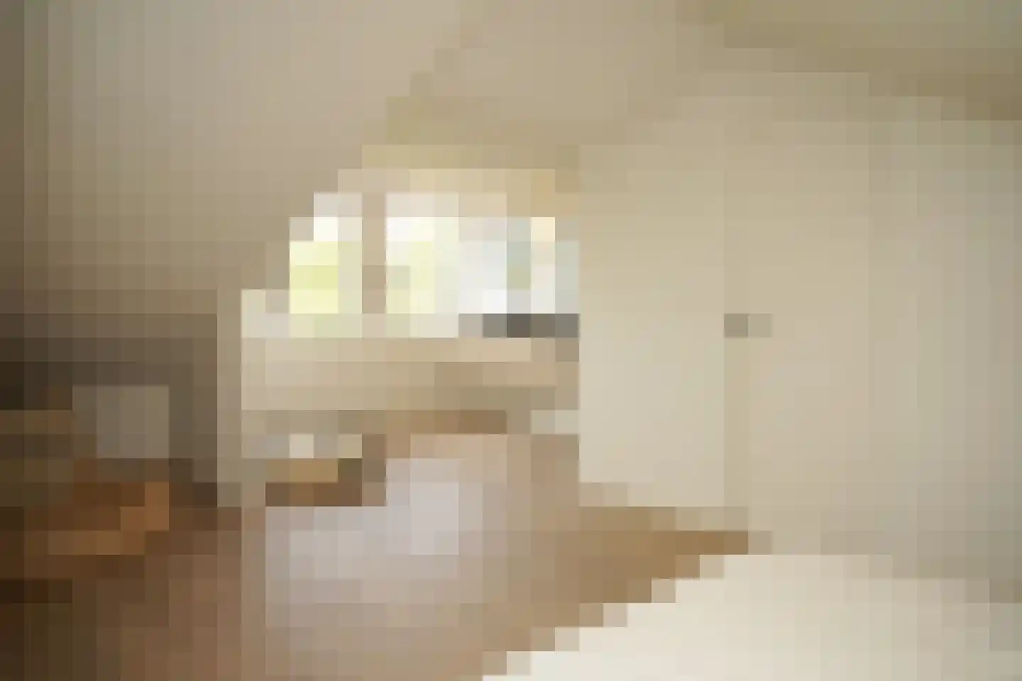 Oostburgsestraat 8 Zuidzande thumbnail 39