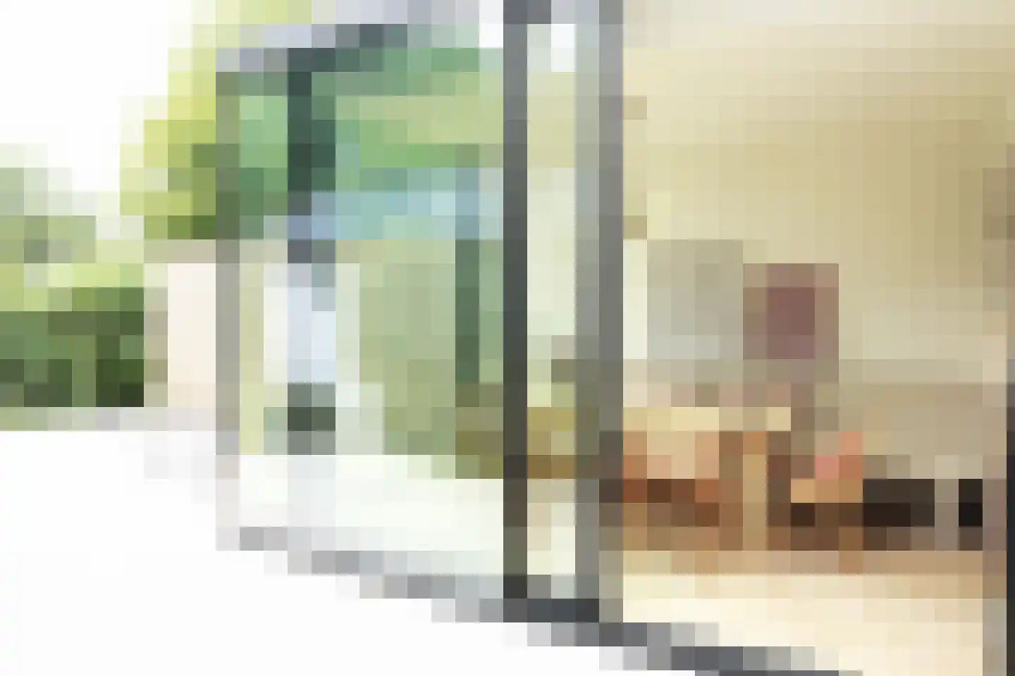 Oostburgsestraat 8 Zuidzande thumbnail 4