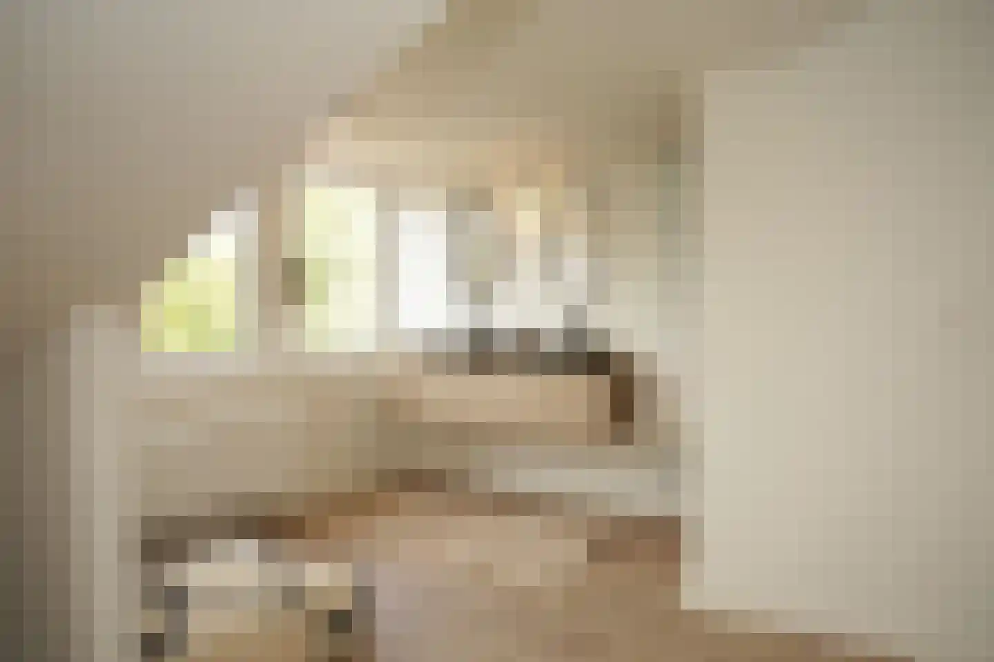 Oostburgsestraat 8 Zuidzande thumbnail 40