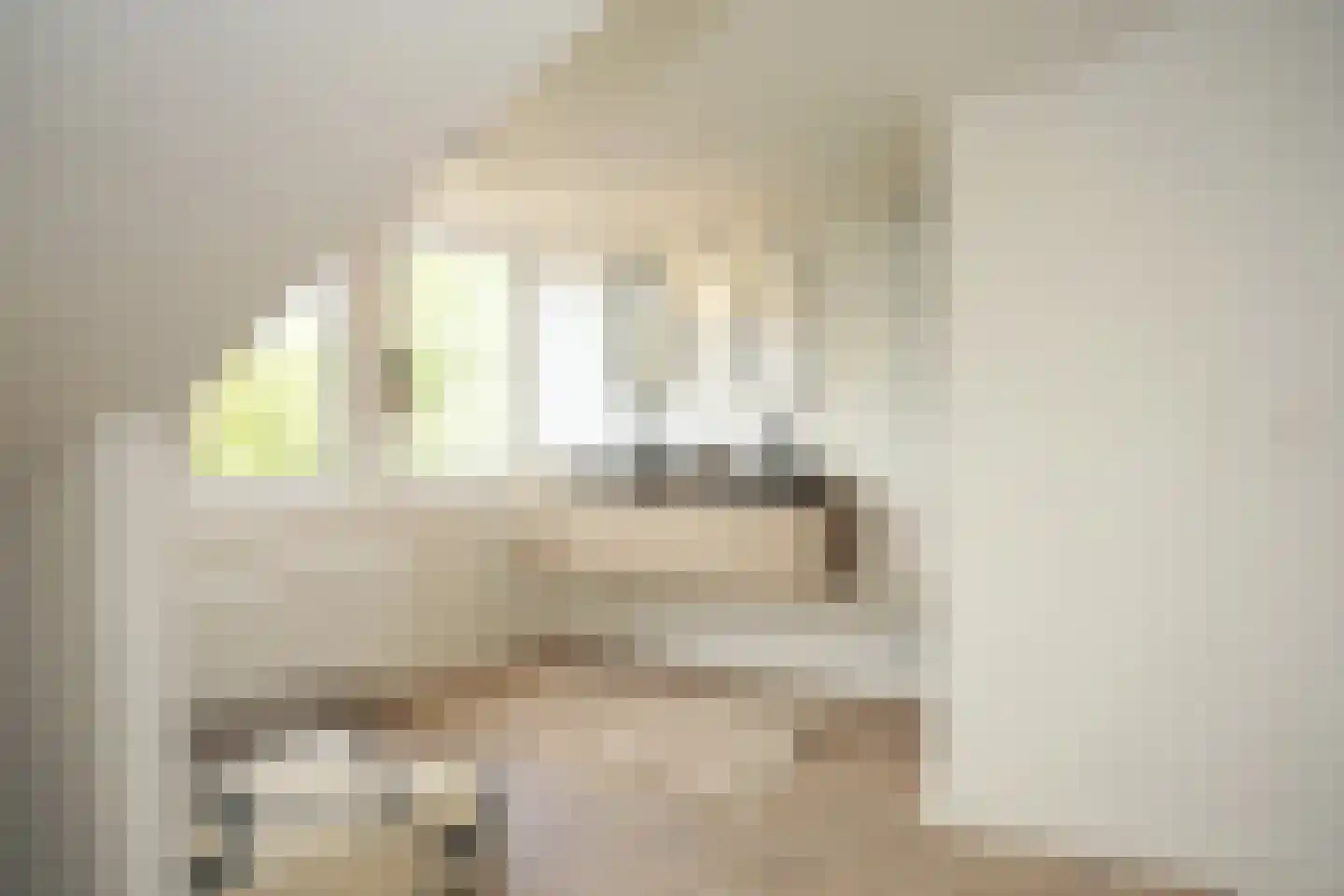 Oostburgsestraat 8 Zuidzande thumbnail 40