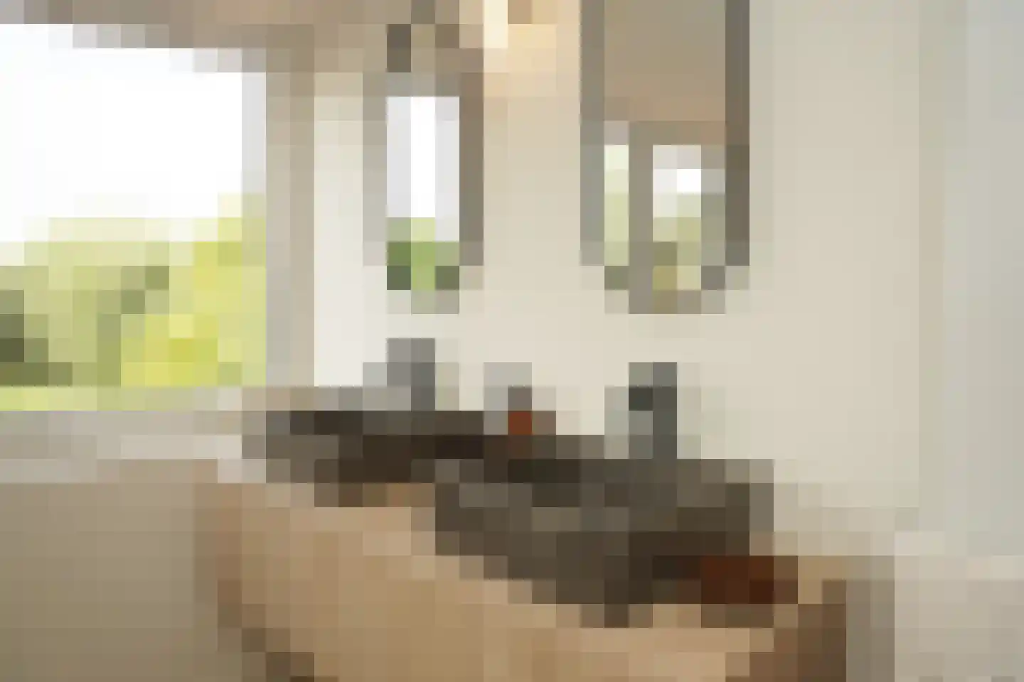 Oostburgsestraat 8 Zuidzande thumbnail 42