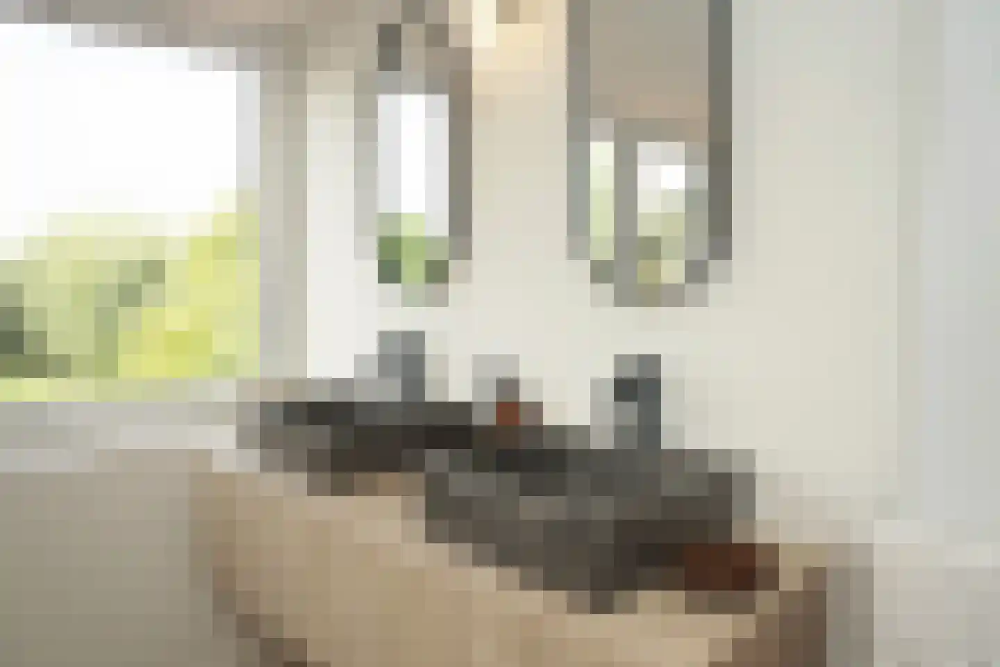Oostburgsestraat 8 Zuidzande thumbnail 42