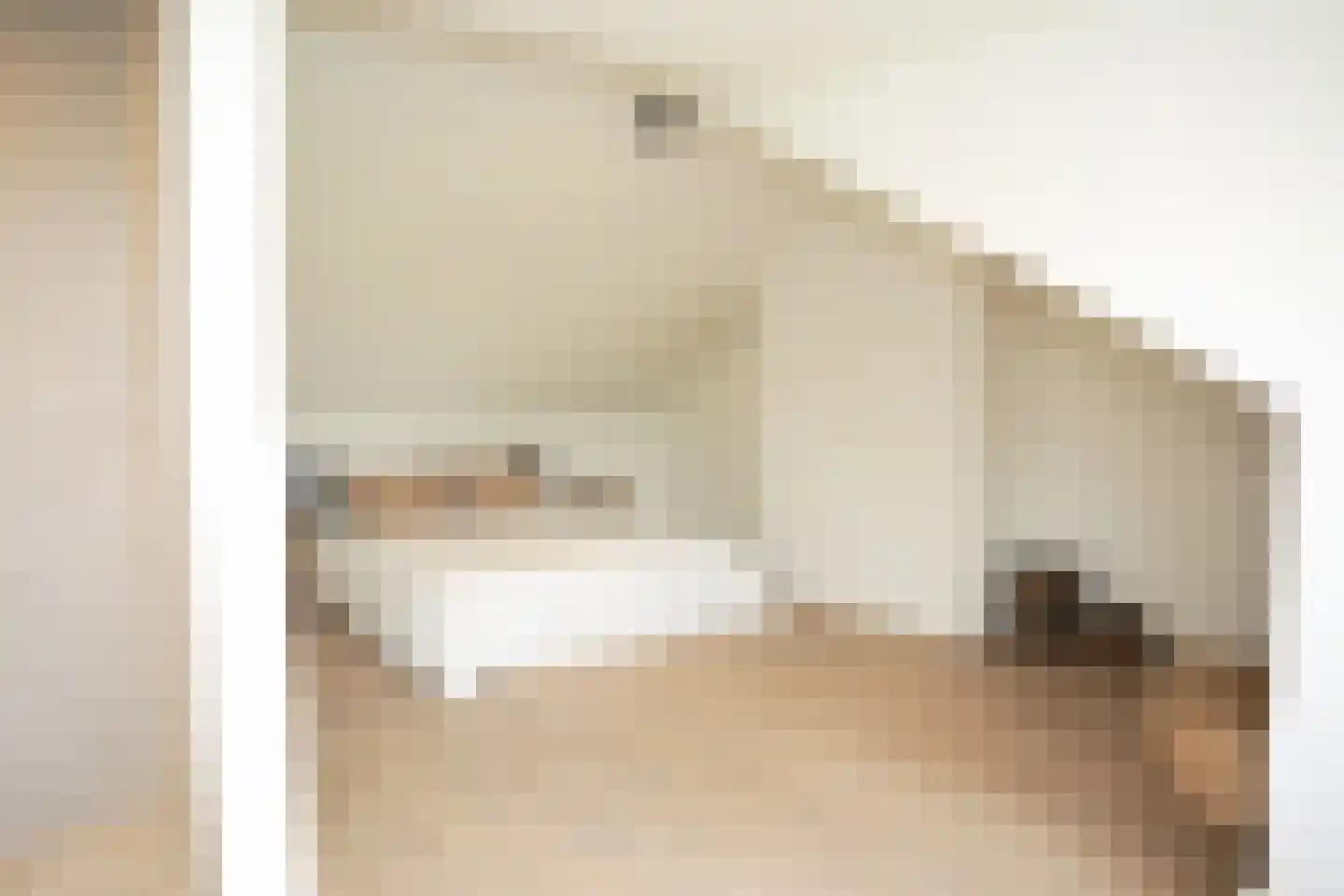 Oostburgsestraat 8 Zuidzande thumbnail 44