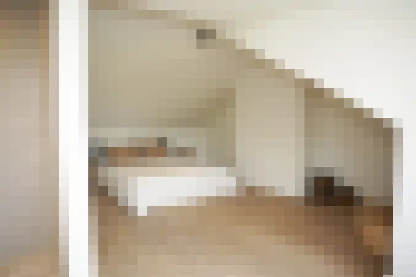 Oostburgsestraat 8 Zuidzande thumbnail 44
