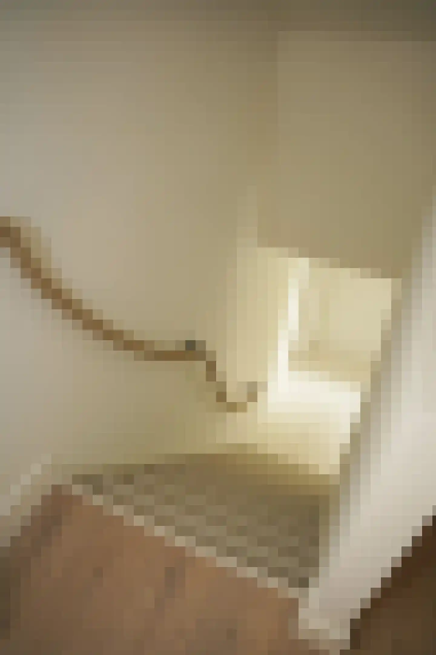 Oostburgsestraat 8 Zuidzande thumbnail 45