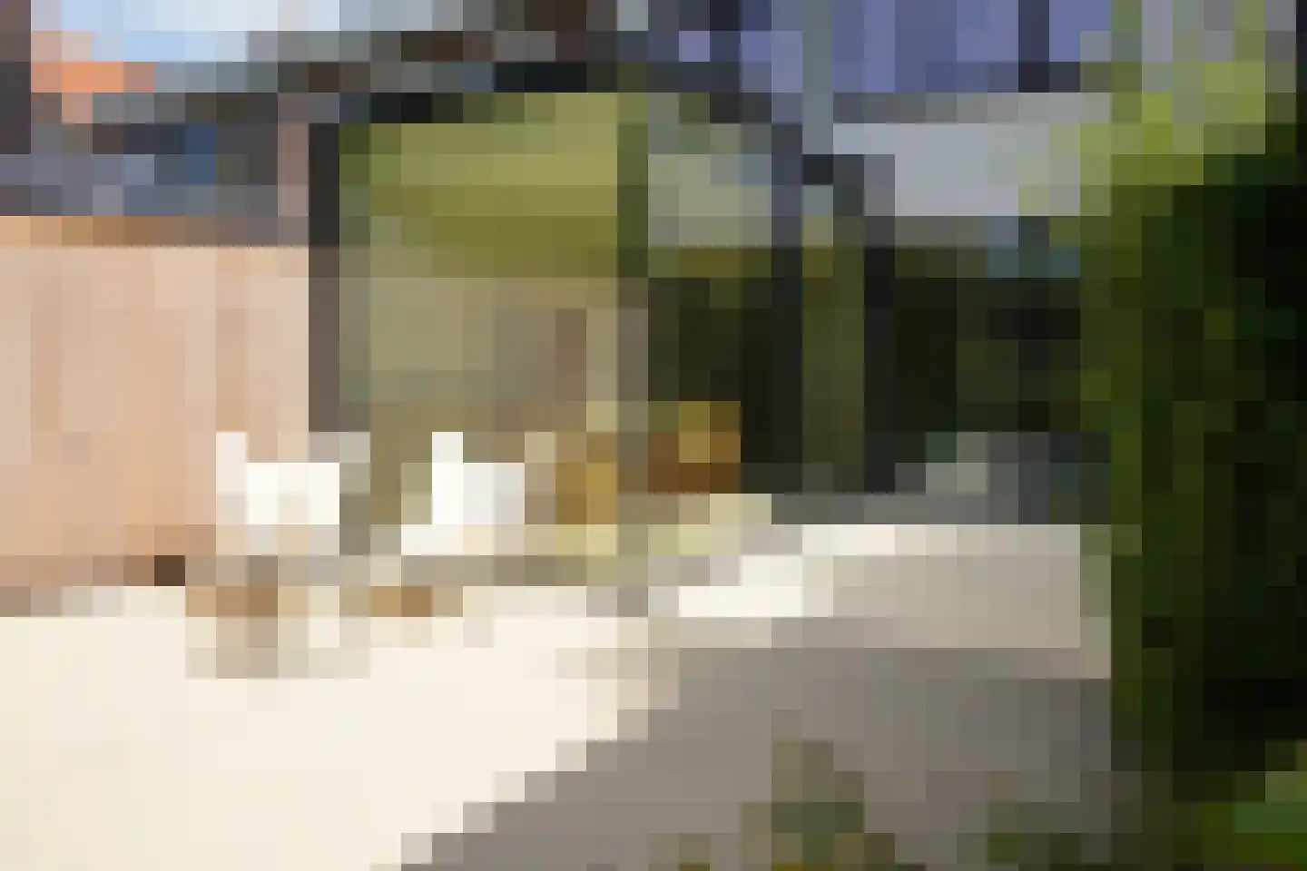 Oostburgsestraat 8 Zuidzande thumbnail 49
