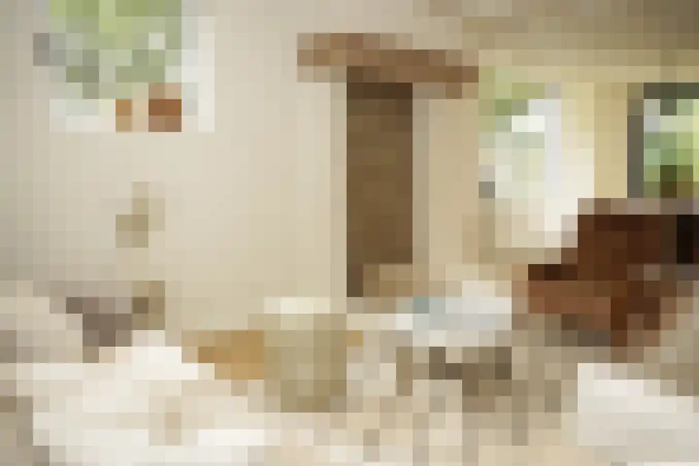 Oostburgsestraat 8 Zuidzande thumbnail 5