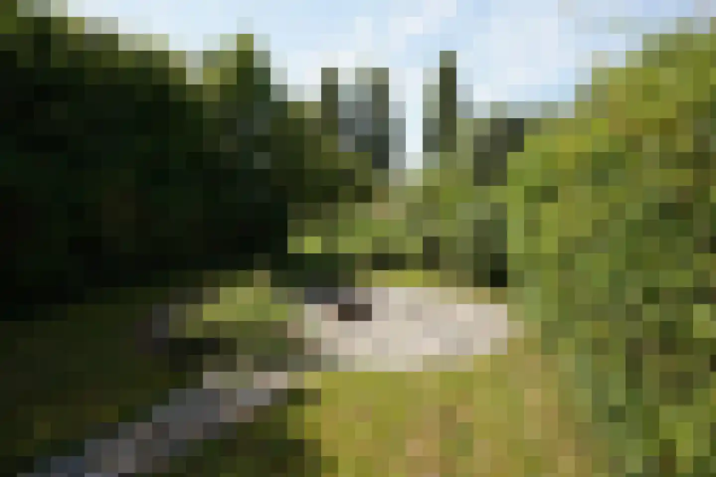 Oostburgsestraat 8 Zuidzande thumbnail 51