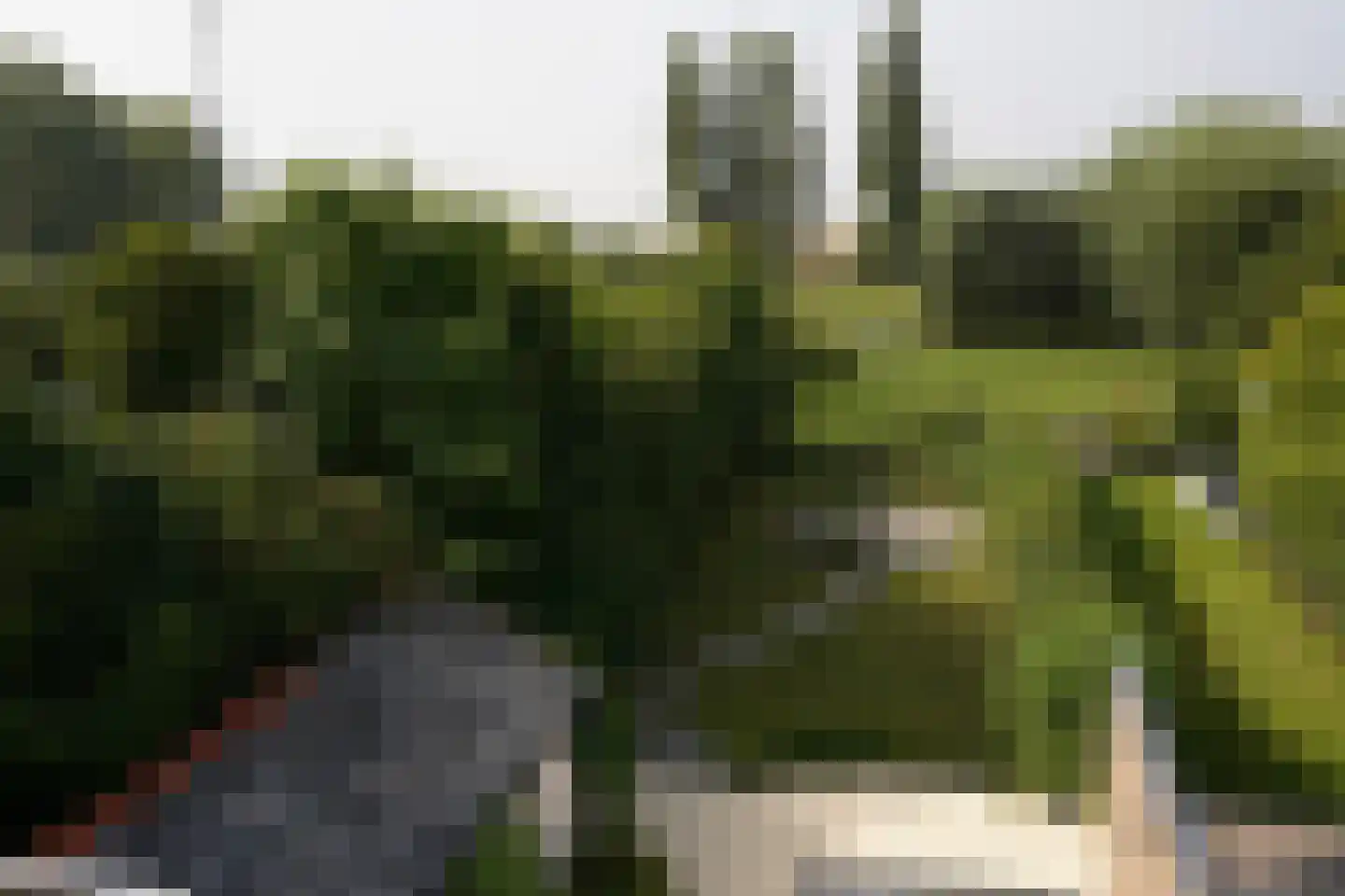 Oostburgsestraat 8 Zuidzande thumbnail 53