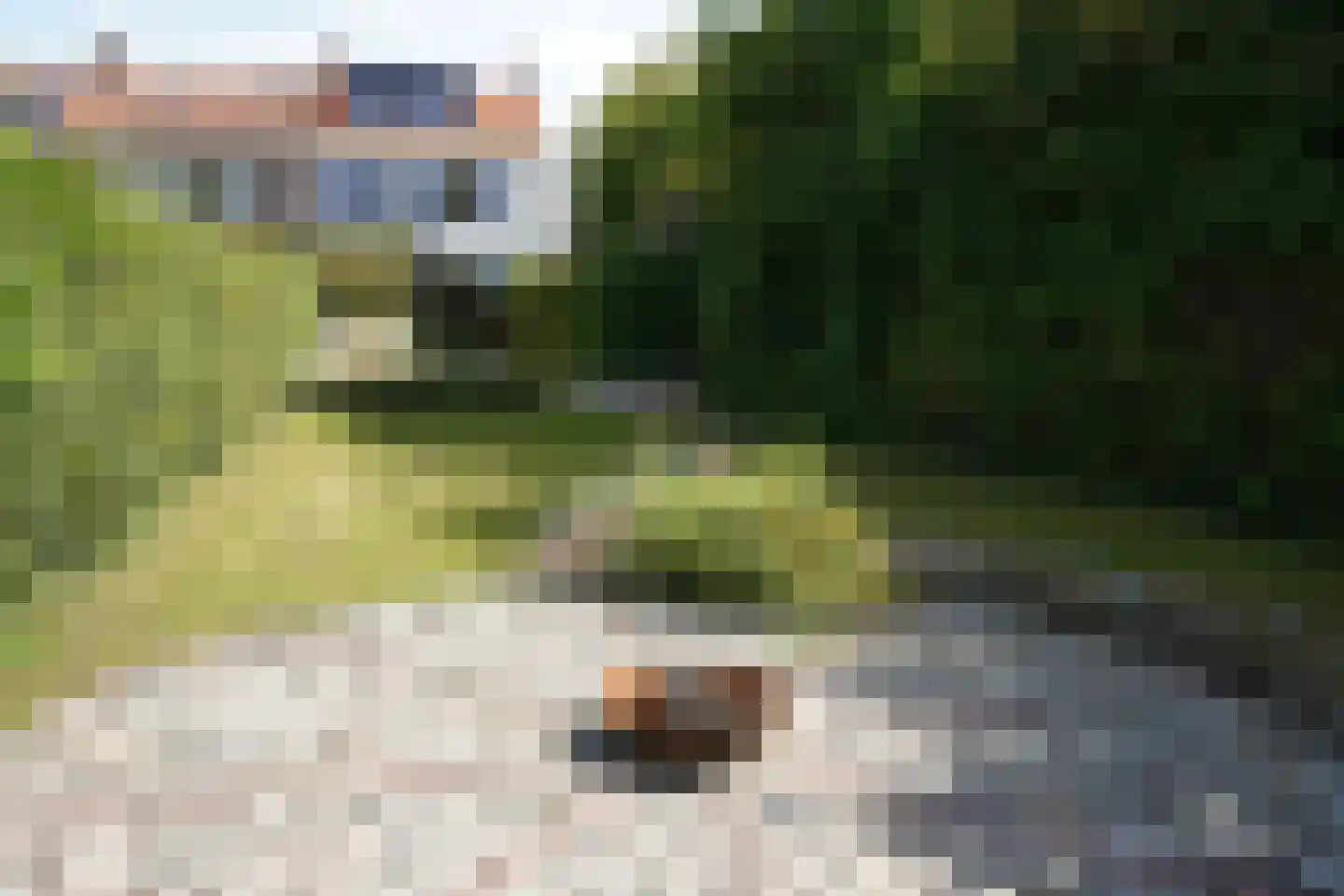 Oostburgsestraat 8 Zuidzande thumbnail 55