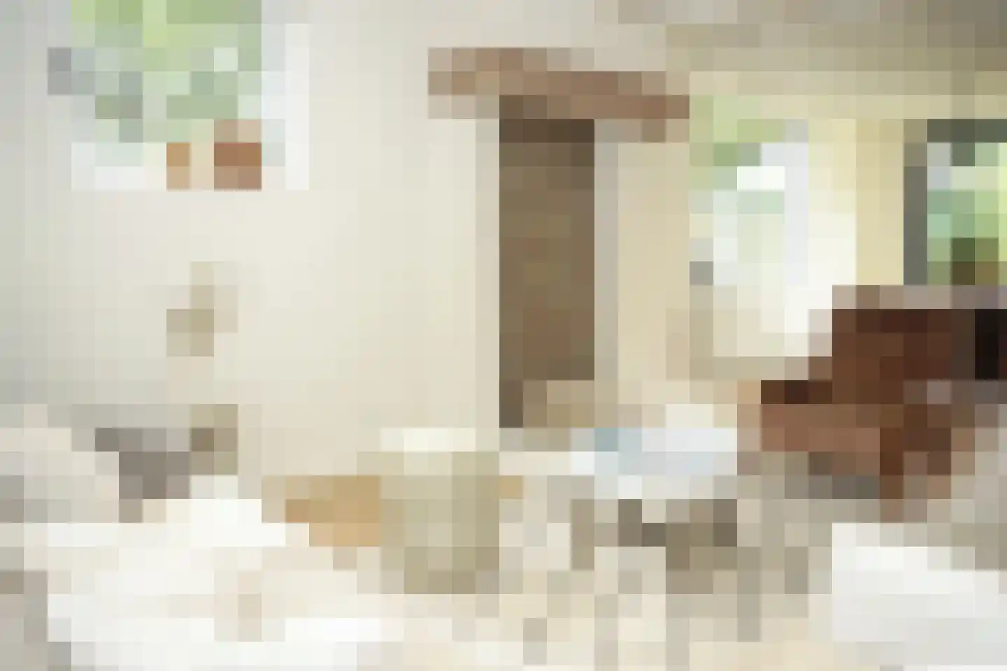 Oostburgsestraat 8 Zuidzande thumbnail 6