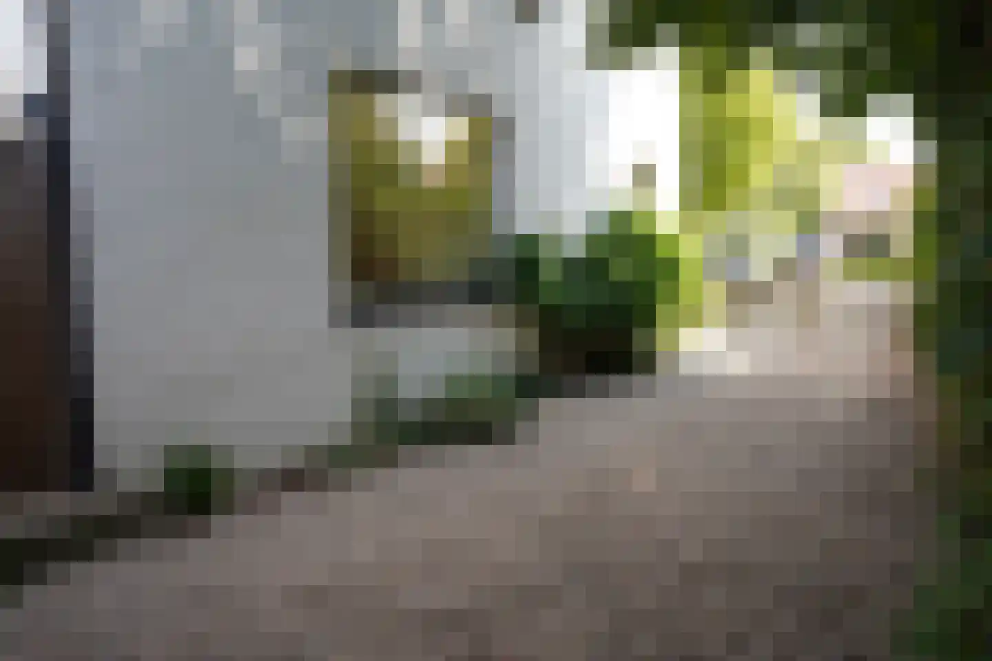 Oostburgsestraat 8 Zuidzande thumbnail 60
