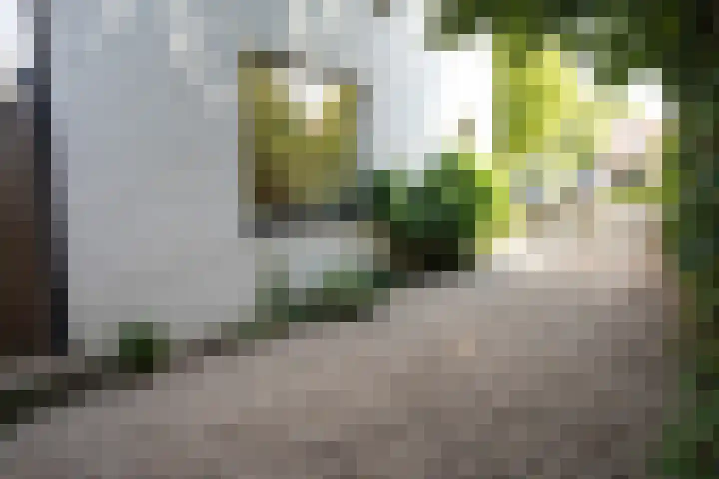 Oostburgsestraat 8 Zuidzande thumbnail 61
