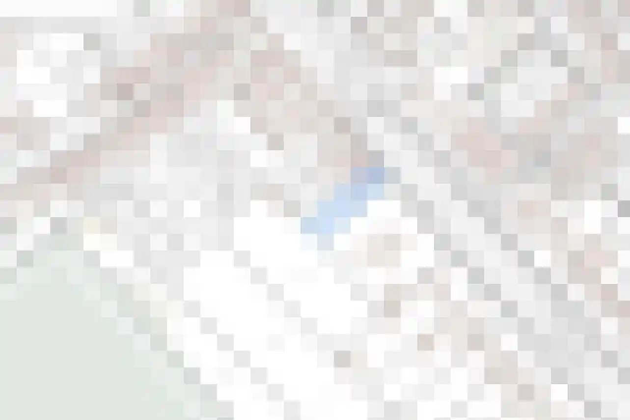 Oostburgsestraat 8 Zuidzande thumbnail 63