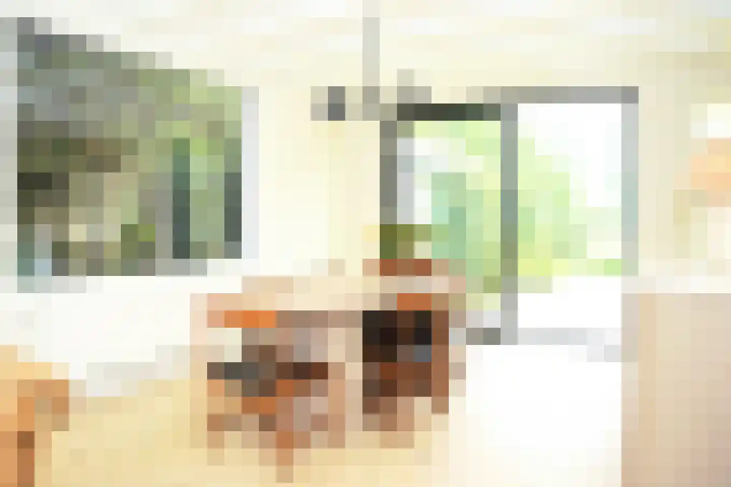 Oostburgsestraat 8 Zuidzande thumbnail 8