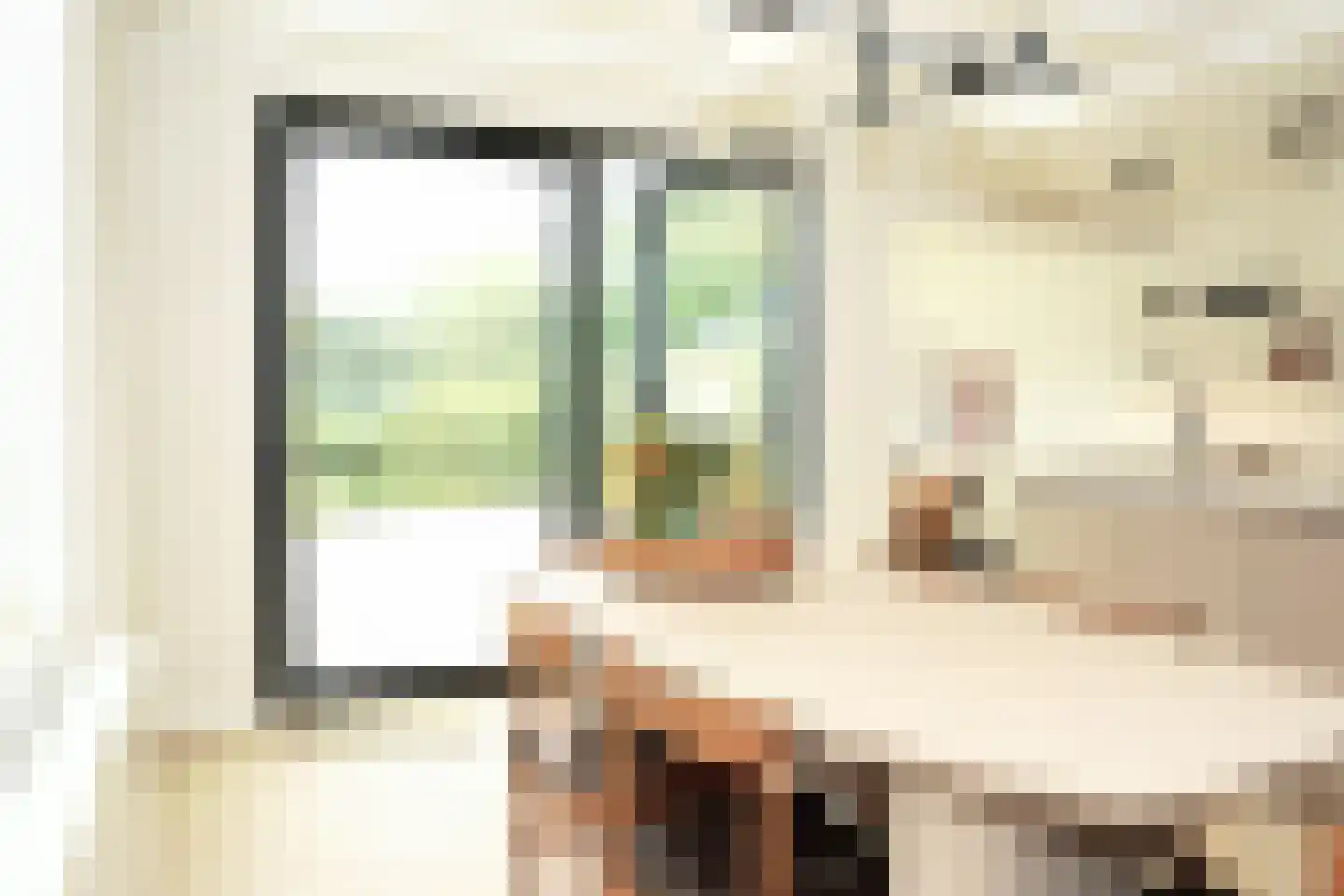 Oostburgsestraat 8 Zuidzande thumbnail 9
