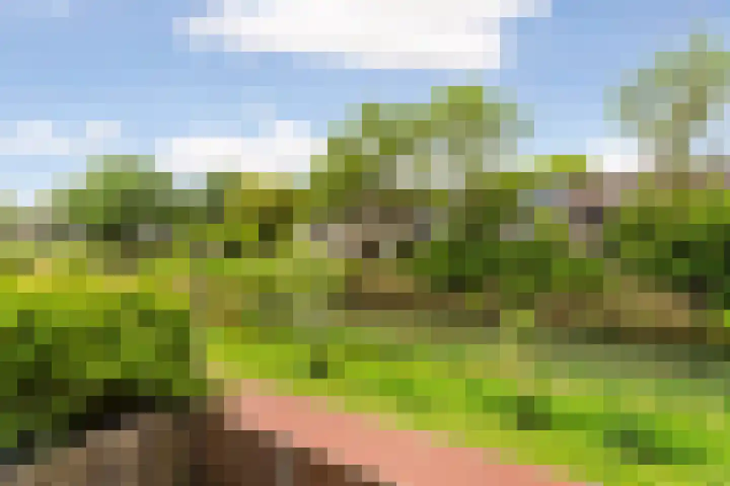 Oostburgwal 23 Arnhem thumbnail 23