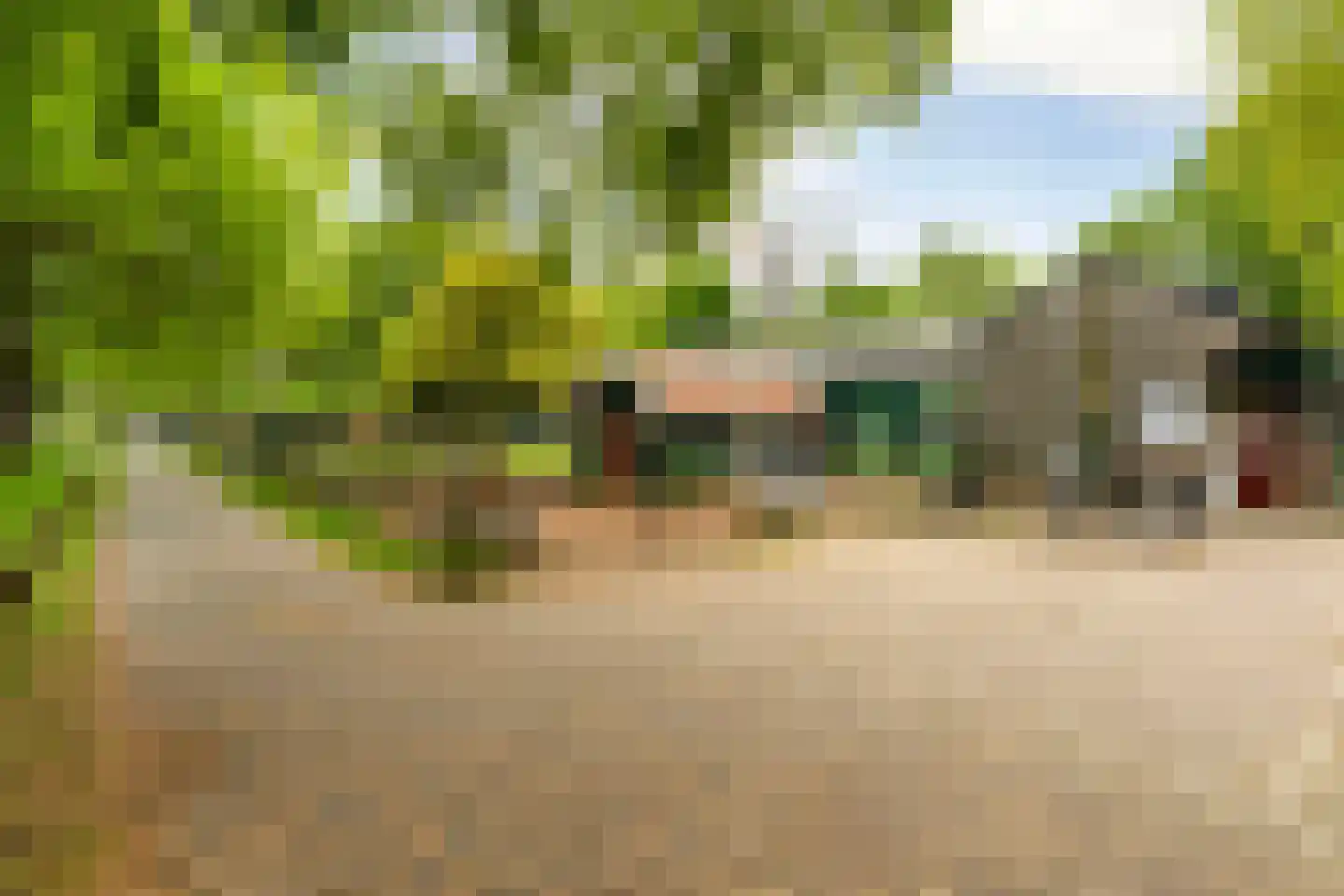 Oostburgwal 23 Arnhem thumbnail 39