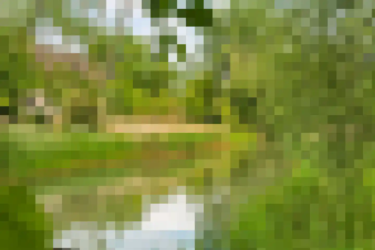 Oostburgwal 23 Arnhem thumbnail 41