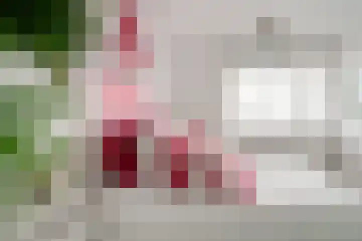Oostburgwal 27 Arnhem thumbnail 32