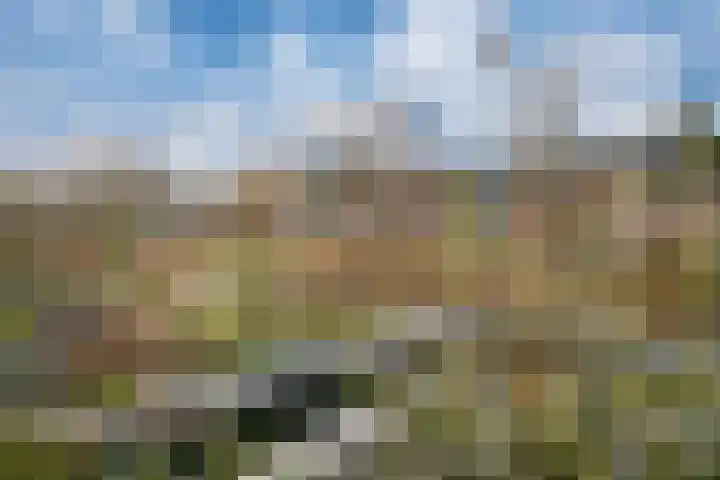 Oostburgwal 27 Arnhem thumbnail 51