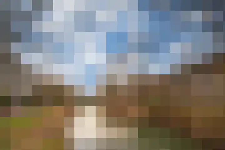 Oostburgwal 27 Arnhem thumbnail 55