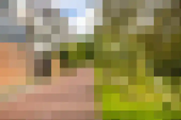 Oostburgwal 67 Arnhem thumbnail 24
