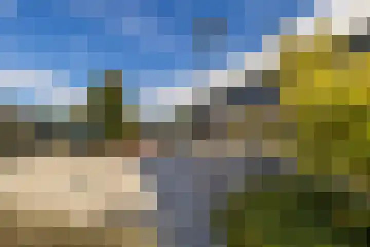 Oostburgwal 67 Arnhem thumbnail 28