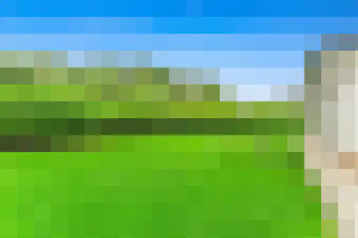 Oostbuurtseweg 3 De Lier thumbnail 10