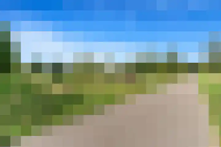 Oostbuurtseweg 3 De Lier thumbnail 99
