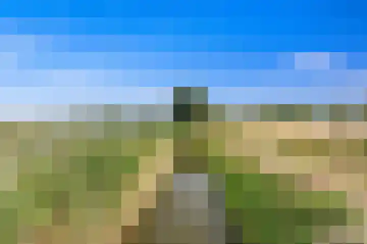 Oostbuurtseweg 3 De Lier thumbnail 100