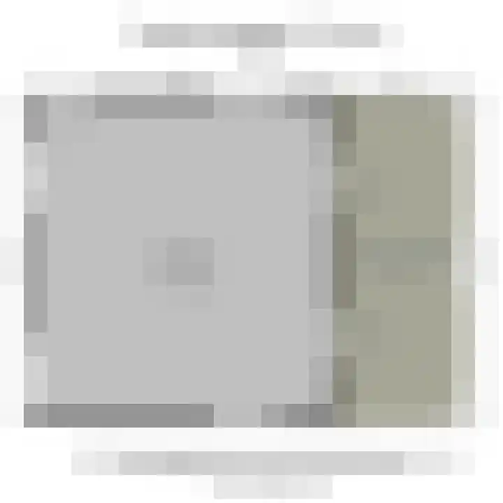 Oostbuurtseweg 3 De Lier thumbnail 106