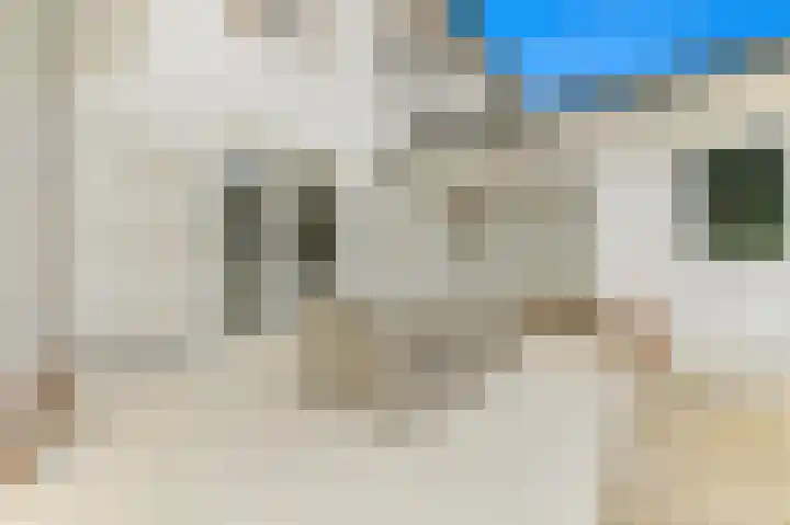 Oostbuurtseweg 3 De Lier thumbnail 12