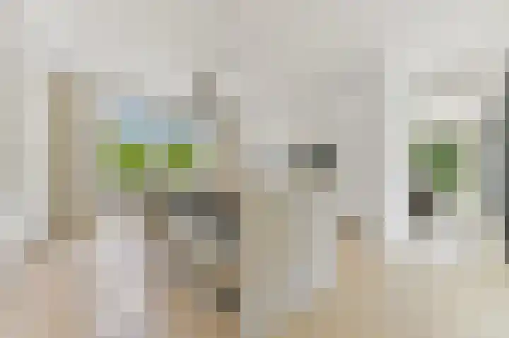 Oostbuurtseweg 3 De Lier thumbnail 18