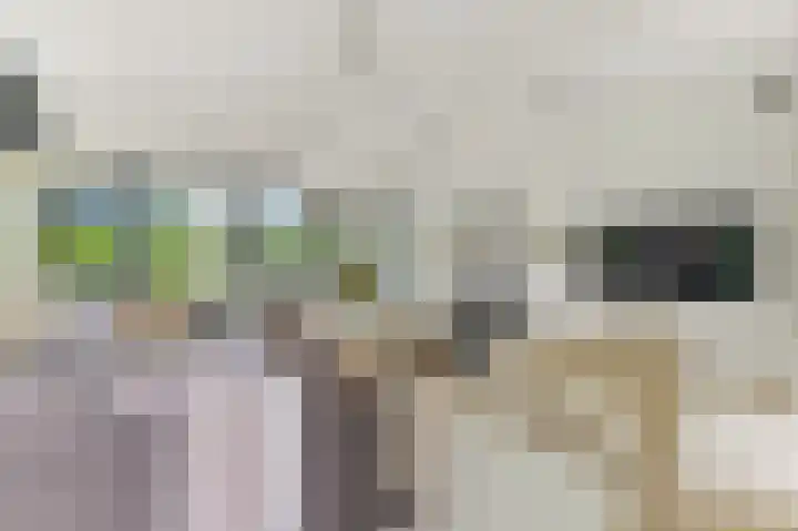 Oostbuurtseweg 3 De Lier thumbnail 20
