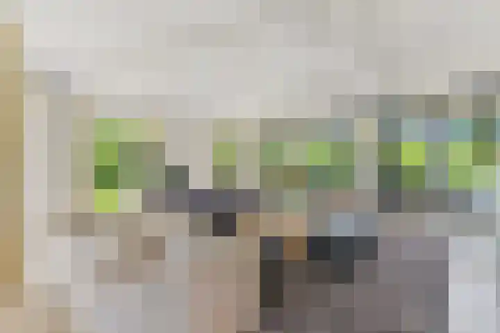 Oostbuurtseweg 3 De Lier thumbnail 21
