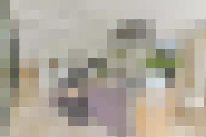 Oostbuurtseweg 3 De Lier thumbnail 22
