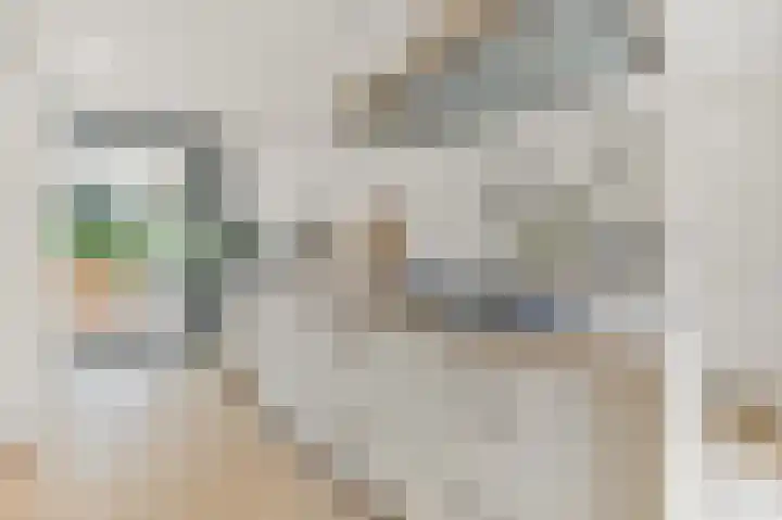Oostbuurtseweg 3 De Lier thumbnail 24