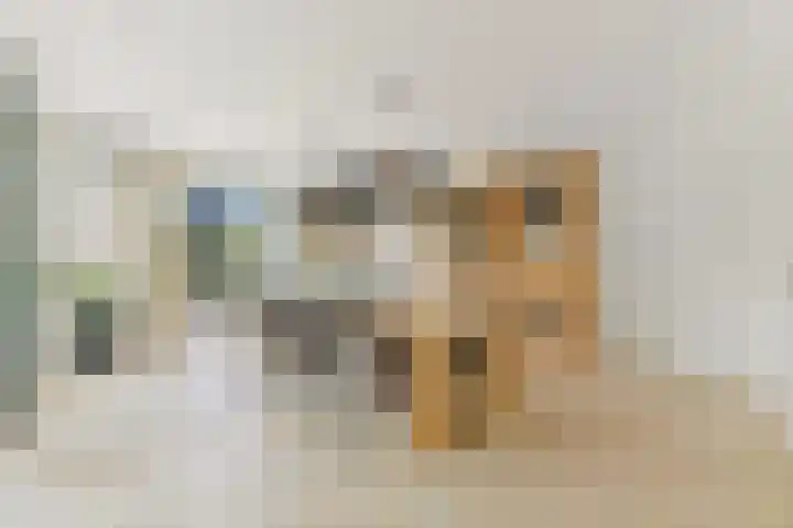 Oostbuurtseweg 3 De Lier thumbnail 25