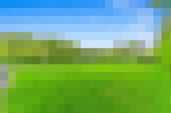 Oostbuurtseweg 3 De Lier thumbnail 32